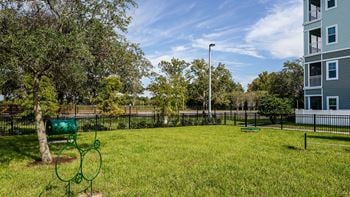 Enclosed bark park with agility course