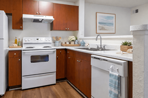 Naples apartment for rent - Modern Kitchens at Summer Lakes Affordable Apartments in Naples FL