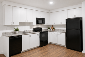Homestead apartment for rent - Modern Kitchens at The Landings at Homestead Apartments