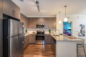 St Petersburg apartment for rent - Upscale chef-Style Kitchens at The Exchange Luxury Apartments in St. Petersburg, FL