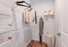 Tampa apartment for rent - Walk In Closets at The Foundry Luxury Apartments in Tampa FL