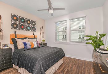 Decorative lighting & ceiling fans