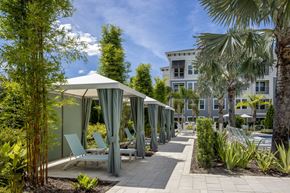 Temple Terrace apartment for rent - Poolside Cabanas at Waverly Terrace Luxury Apartments in Temple Terrace, FL