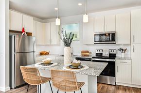 New Port Richey apartment for rent - Modern Kitchens at The Gallery Luxury Apartments in Trinity, FL