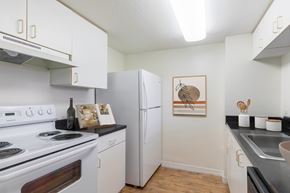 Lake Worth apartment for rent - Modern Kitchens at Riverview House Apartments in