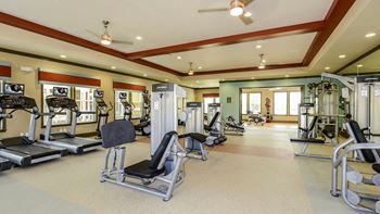Professional fitness center