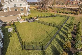 Fenced dog park with areas for large and small dogs