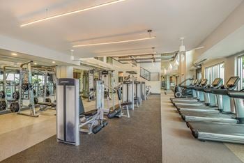 Fitness center with strength training circuit & trx suspension training