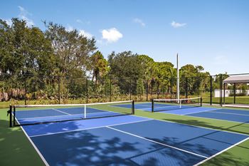 2 Lighted pickleball courts