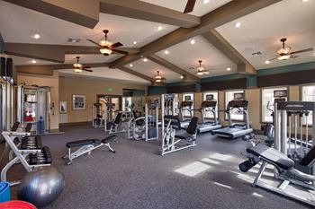 Professional fitness center