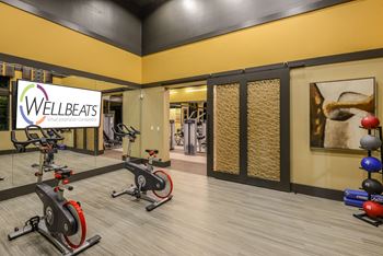 Yoga & spin studio with on-demand fitness