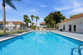 Homestead apartment for rent - A large swimming pool surrounded by palm trees and residential buildings.