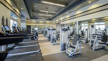 State-of-the-art professional fitness center
