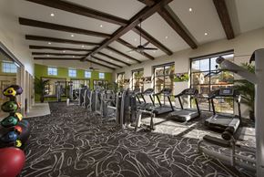 Oro Valley apartment for rent - a gym with cardio equipment and weights on the floor