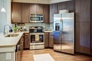 Charleston apartment for rent - Kitchen at The Standard, South Carolina, 29412