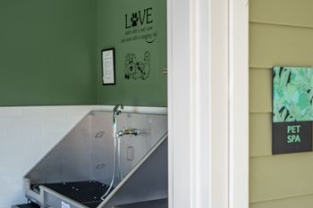 A pet spa 