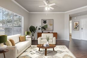 Austin apartment for rent - A living room with a white couch, a coffee table, and a rug.