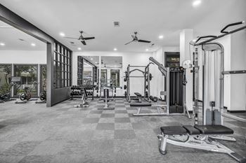 A home gym with weights and cardio equipment