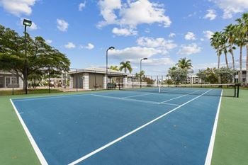 A blue tennis court with palm trees and a building in the background