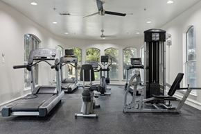 Austin apartment for rent - A spacious gym with treadmills, elliptical machines, and other exercise equipment.