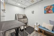 Manchester apartment for rent - a pet spa at the Residences at Manchester Place in Manchester, New Hampshire