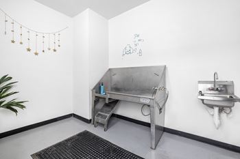 Pet spa with dog grooming station with sink