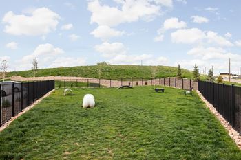 Small dog park