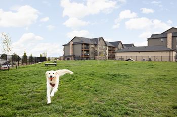 Pet friendly apartment living