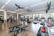 Alpharetta apartment for rent - Fitness Center at Emblem Alpharetta Apartments, Georgia, 30009