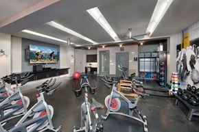 Orlando apartment for rent - 24-Hour Fitness Center at The Rialto, Orlando, FL, 32819