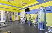 Plant City apartment for rent - a gym with weights and cardio equipment and a tv at Bella Vista on Park, Plant City