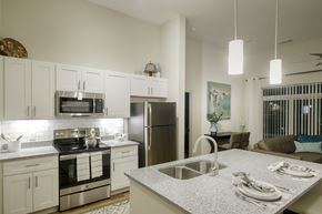 Macon apartment for rent - Kitchen at Lofts at Zebulon, Macon, 31210
