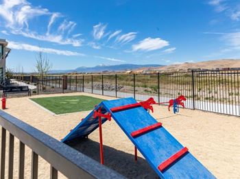 Dog park