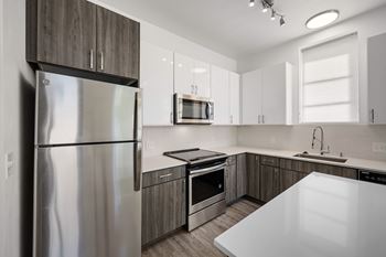 Electric range with dual radiant elements