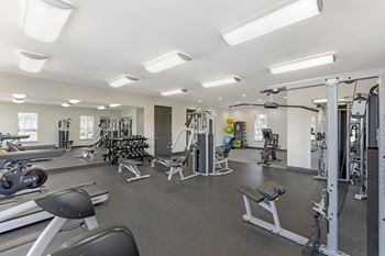 A well-equipped gym with various exercise machines and weights.