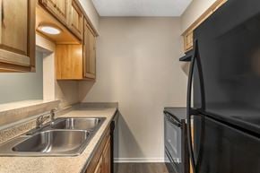 Corpus Christi apartment for rent - A black refrigerator sits next to a sink in a kitchen.