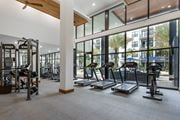 Sarasota apartment for rent - A gym with treadmills, elliptical machines, and weightlifting equipment.