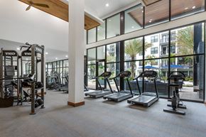 Sarasota apartment for rent - A gym with treadmills, elliptical machines, and weightlifting equipment.