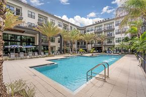 Sarasota apartment for rent - A swimming pool surrounded by palm trees and a building in the background.