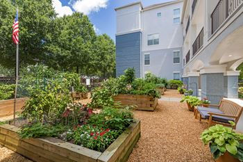 Community garden