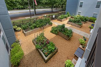 Community garden