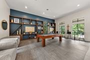 Austin apartment for rent - A room with a pool table and a couch.