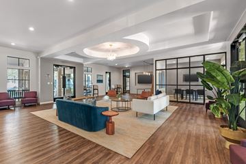 Austin apartment for rent - A modern living room with a blue sofa and wooden floors.