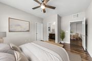 Land O Lakes apartment for rent - A bedroom with a large bed and a ceiling fan.