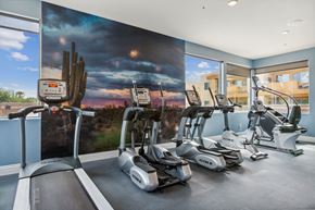 Tucson apartment for rent - Fitness center with cardio equipment at Pima Canyon, Tucson, Arizona