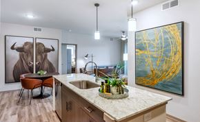Prescott Valley apartment for rent - Spacious Kitchen Island at Homestead Talking Glass, Arizona, 86314