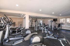 Indialantic apartment for rent - Fitness center with cardio and weight equipment at The Brittany, Indialantic, 32903