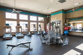 Colorado Springs apartment for rent - a gym with weights and cardio equipment and windows at Estate at Woodmen Ridge, Colorado Springs, 80923