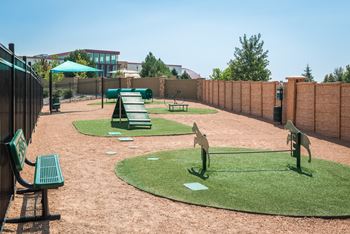 Dog agility park