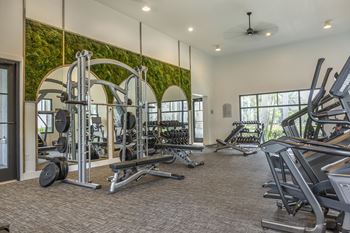 A gym with a green wall and a variety of equipment
